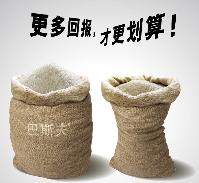 防治稻瘟保高产巴斯夫稻清来护航