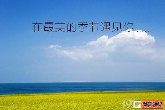 期待在最美的季节遇见你.