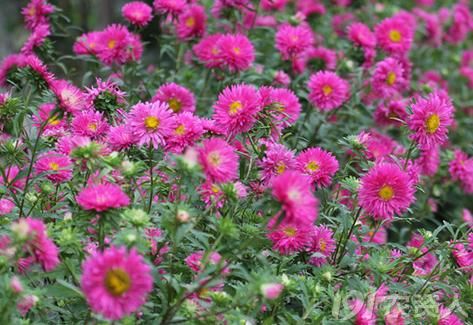 【知客】江西腊