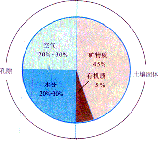理想土壤成分的体积分数
