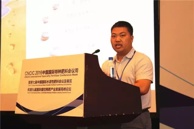 地瓜的水溶肥选择与施肥注意事项：揭秘POPO鱼蛋白水溶肥