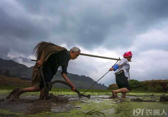 延续七百年的传统耕作模式——耦耕