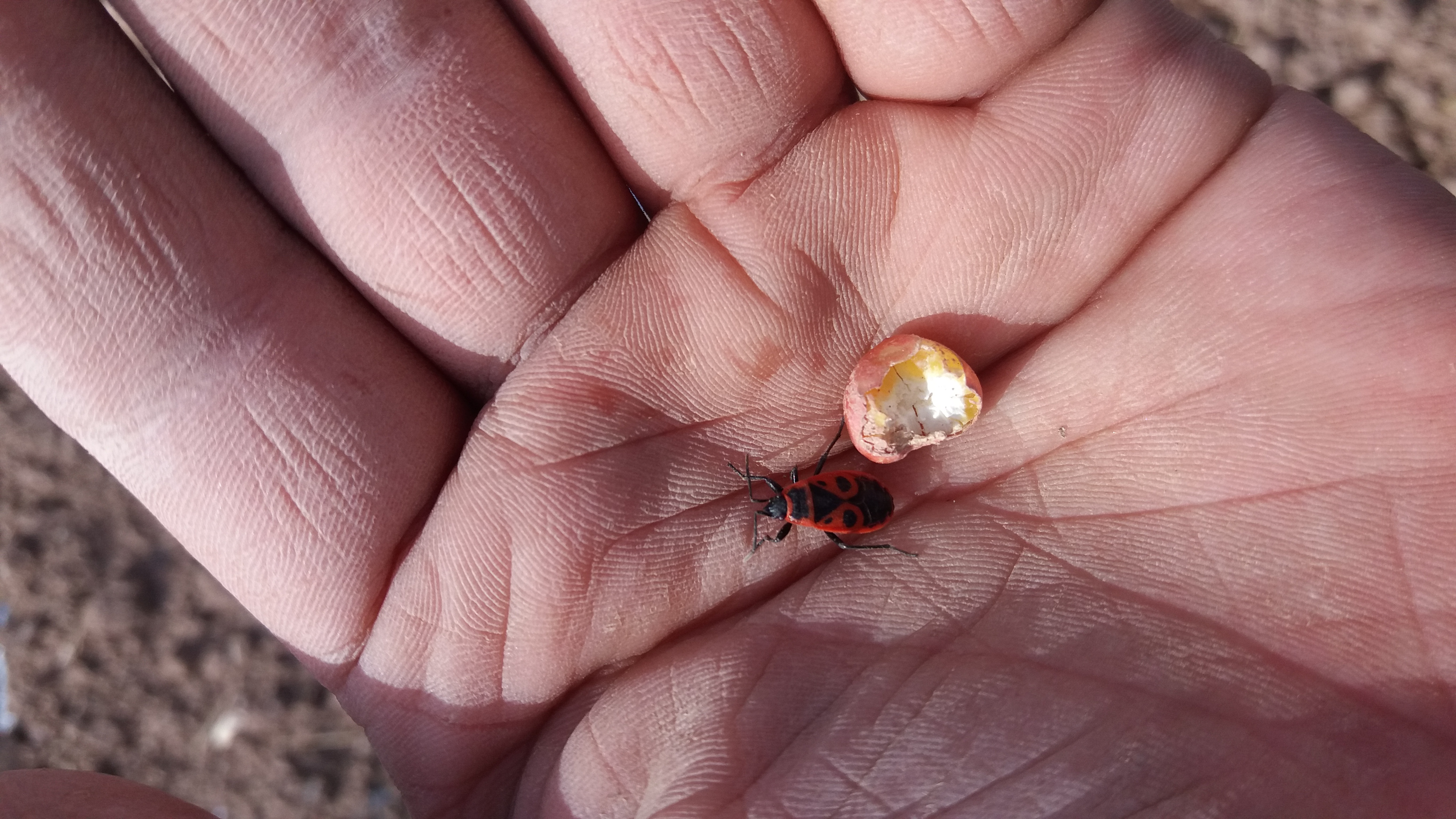 内容来自android手机客户端