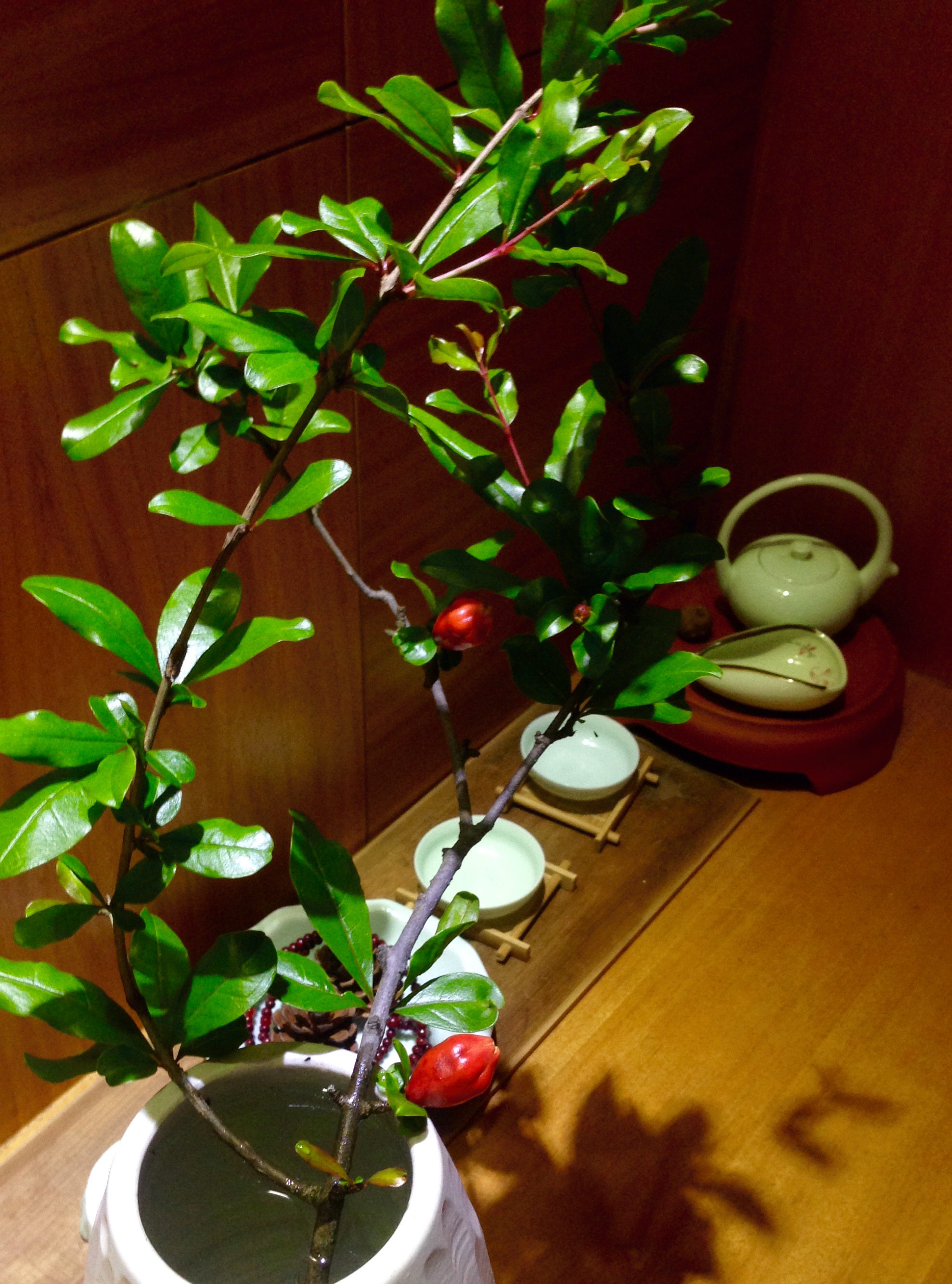 5月石榴花开红似火