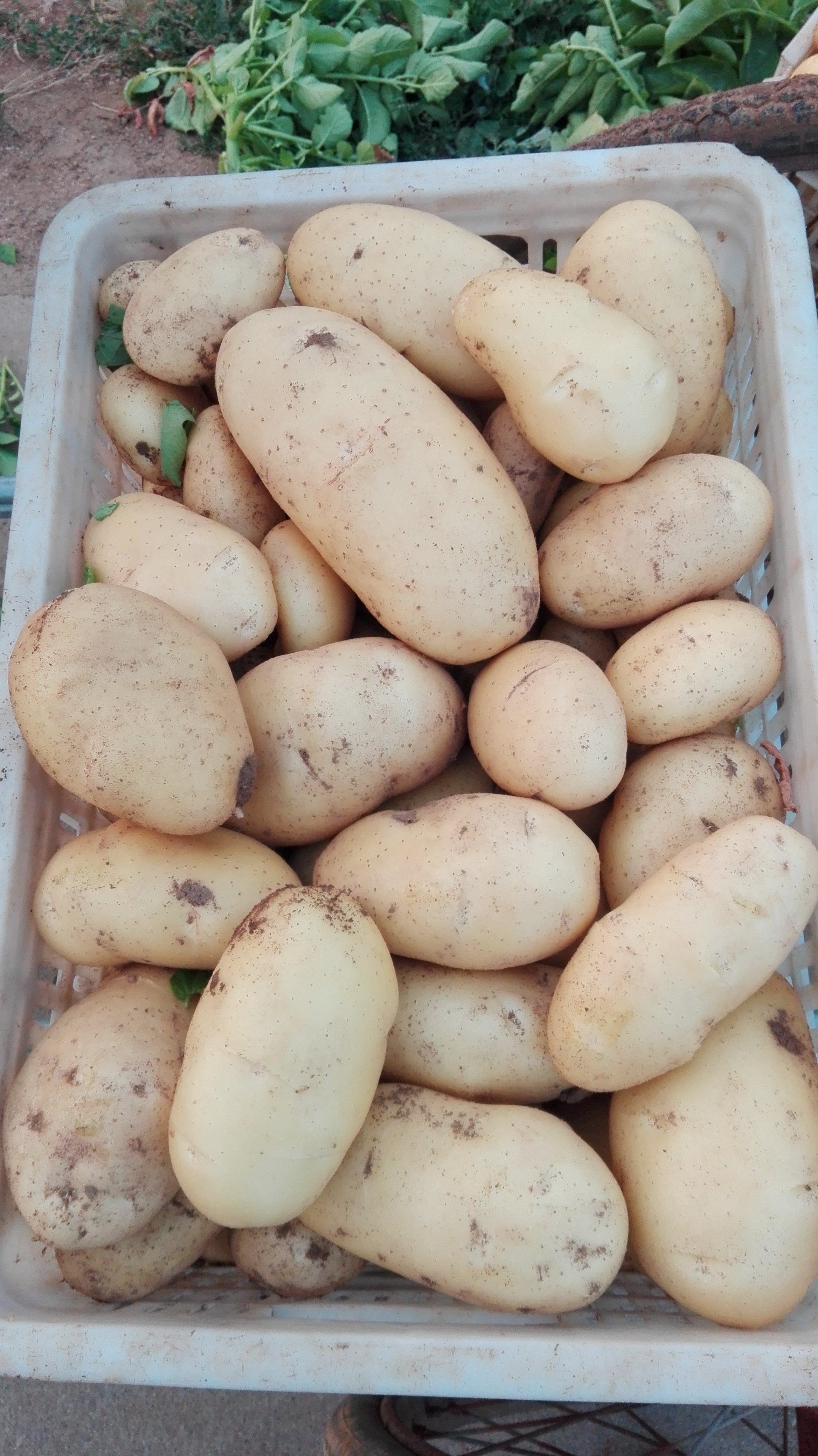 2336_4160竖版 竖屏