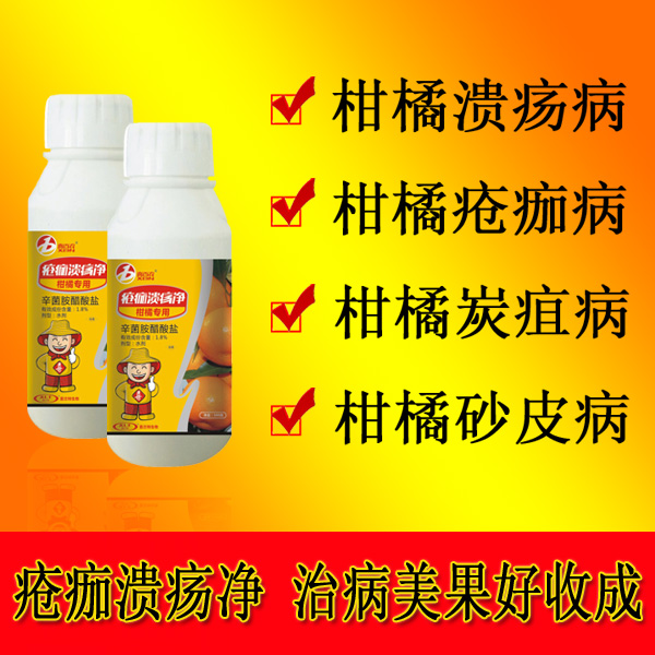 供应广西柑橘溃疡病杀菌剂|疮痂病|炭疽病|砂皮病