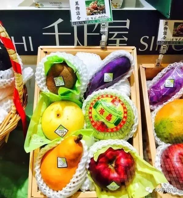 191农资人管理平台