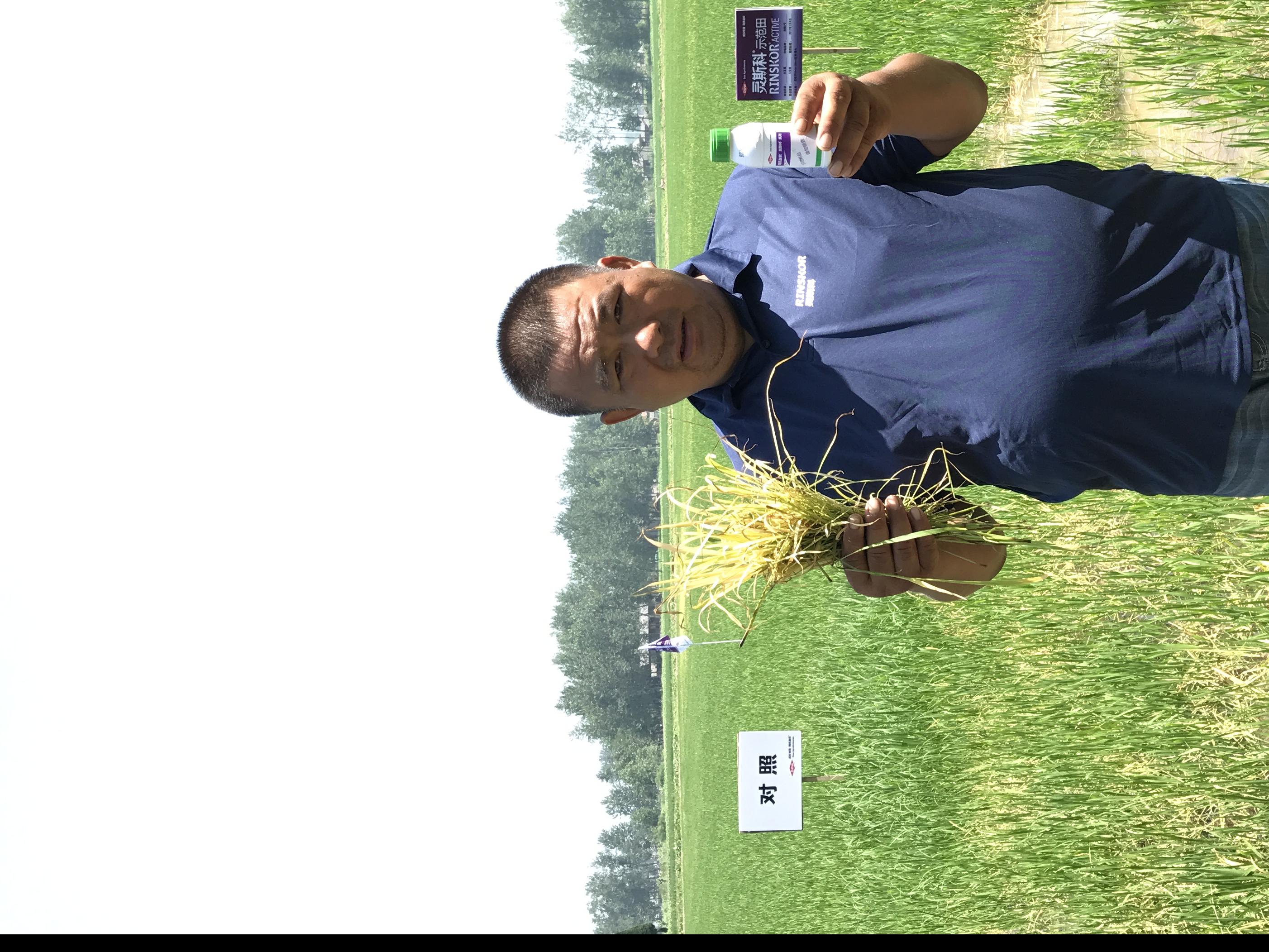 4日,应营南零售商王桂荣的邀请,去给他手底下的大农户卜宜全看田除草