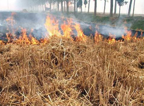 秸秆腐熟,取之自然