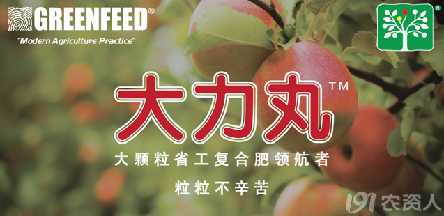 粒粒不辛苦,颗颗真动力--"大力丸64"致力引领农户需求