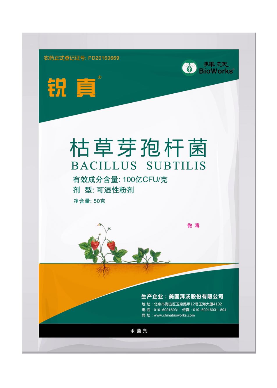 美国拜沃枯草芽孢杆菌在姜瘟病上的应用