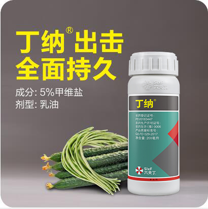 大蔥薊馬用什麼藥防治效果好