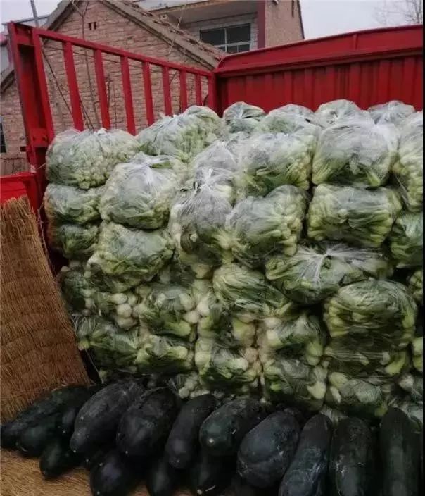 战疫情丨金丰公社的"逆行英雄",河南优秀老兵自驾援助武汉!