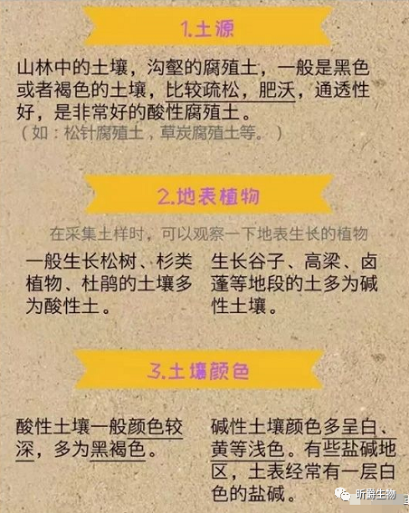 土壤病了,怎么办?怎样改善?