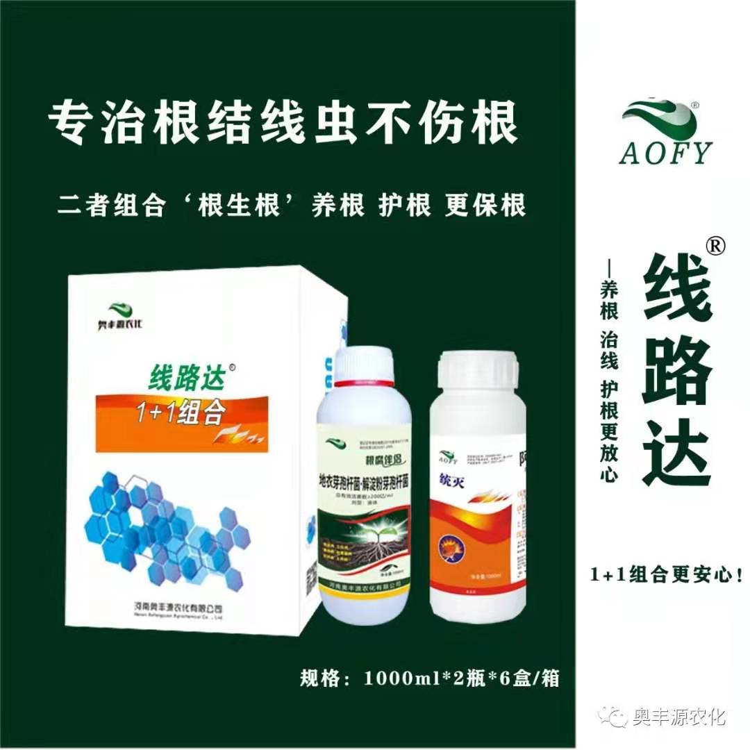 请输入描述