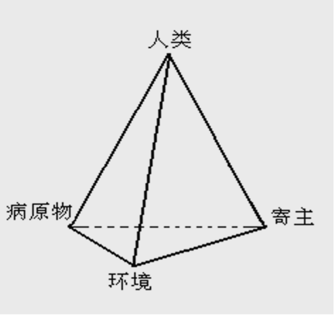 病害四面体图片