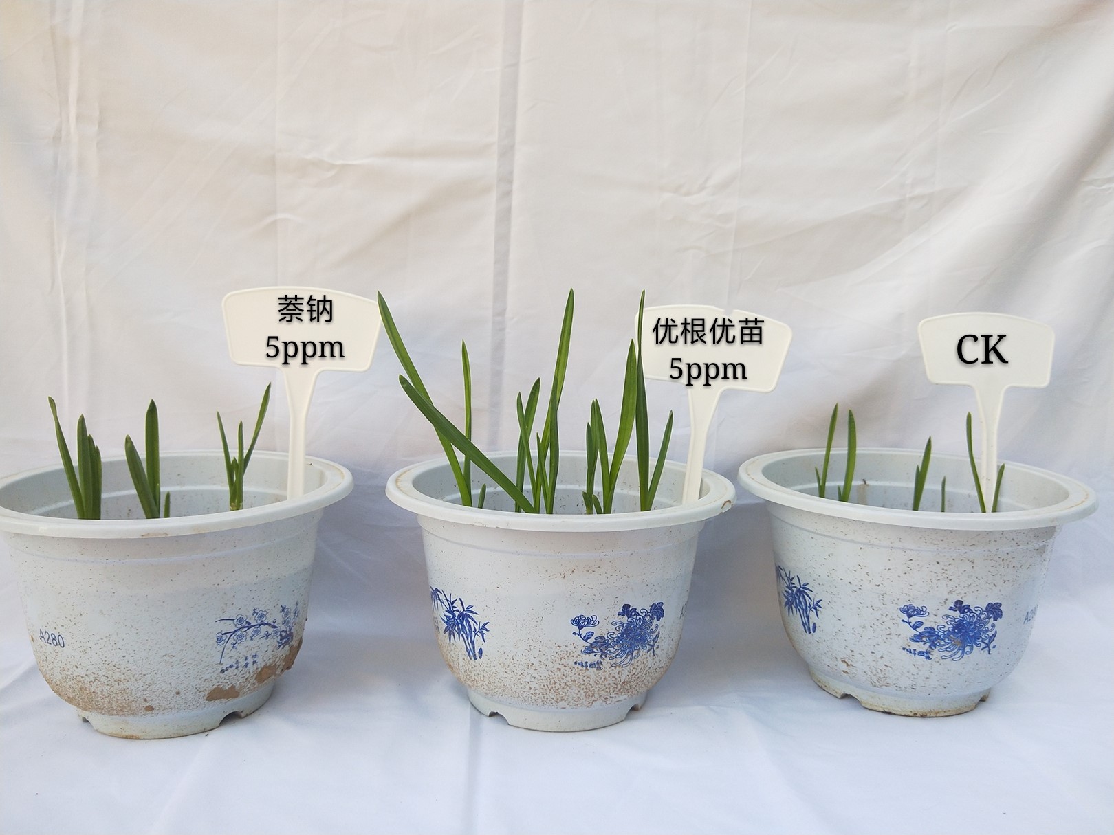 �Ÿ�����������