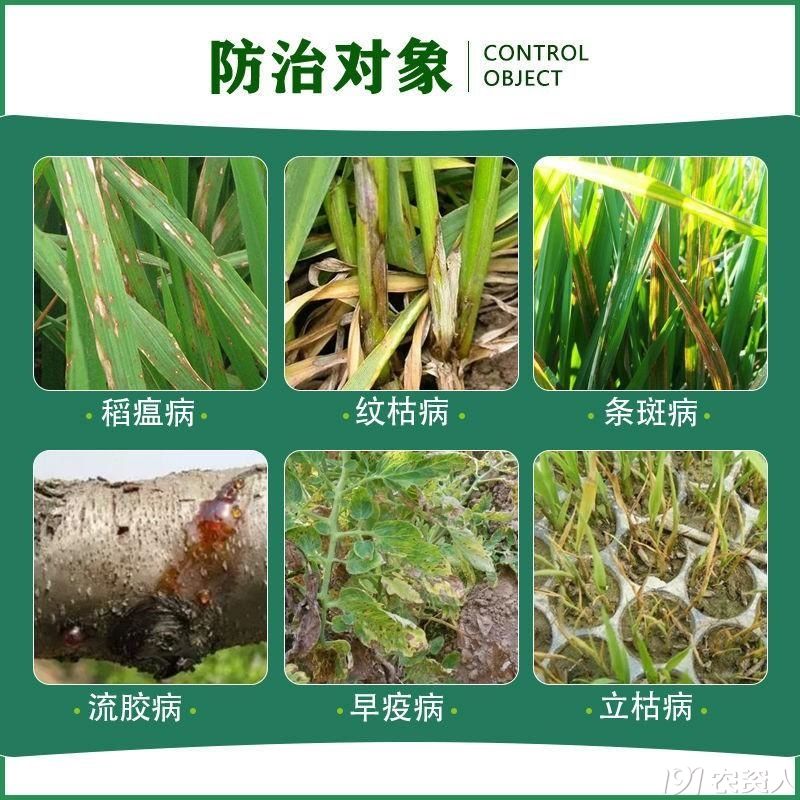 2%春雷霉素杀菌剂厂家15378717347