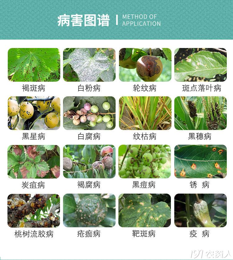 40%苯醚甲环唑15378717347