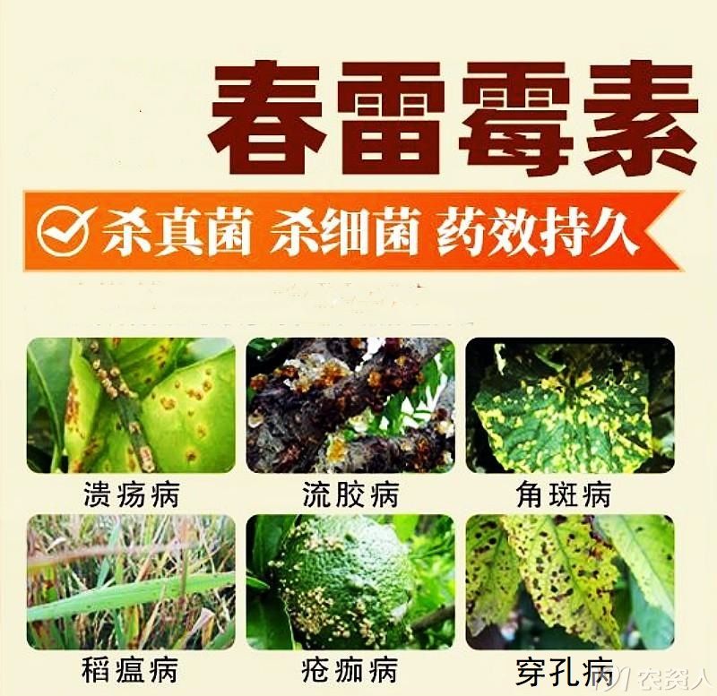 2%春雷霉素杀菌剂厂家15378717347