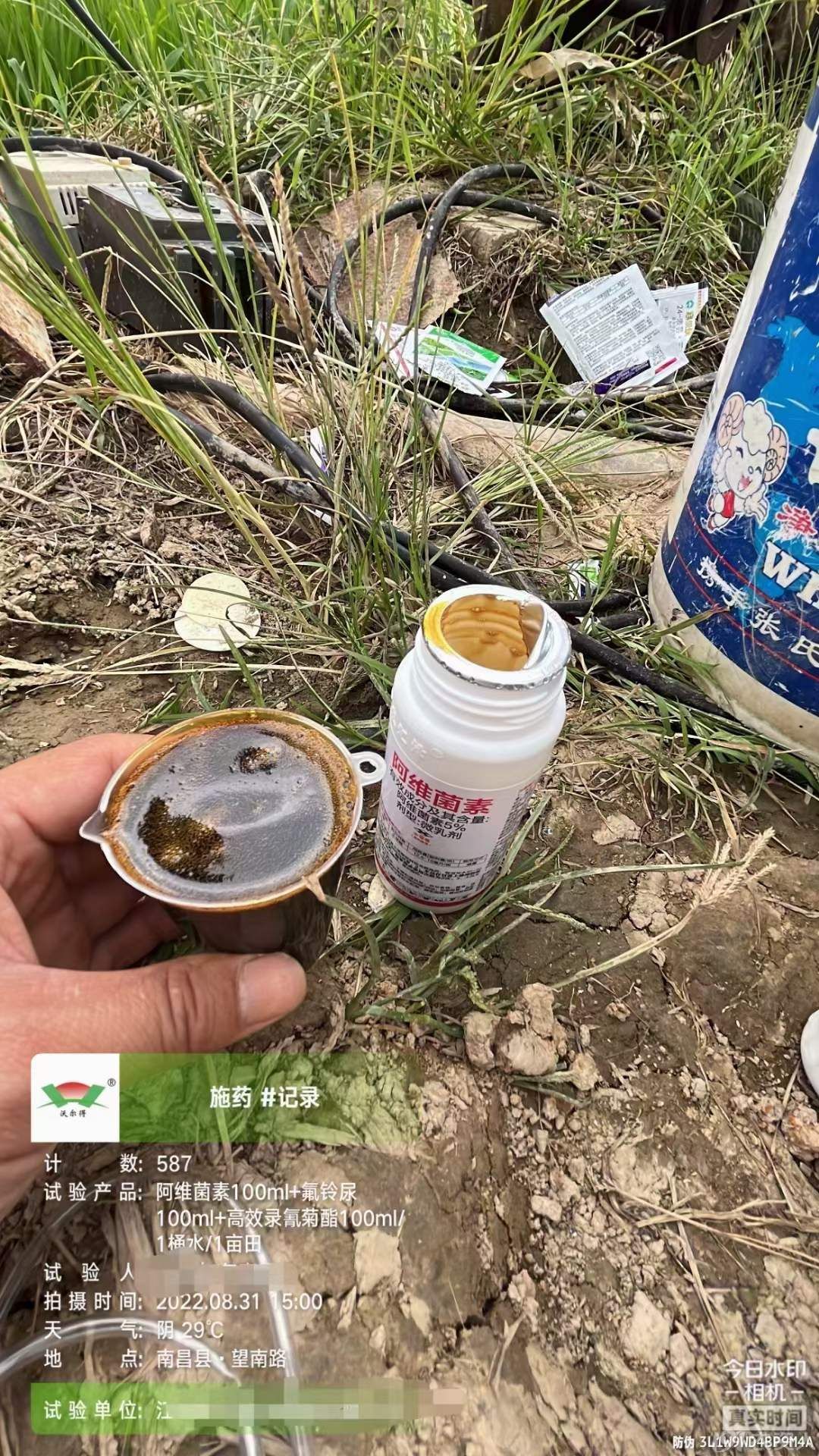 15378717347水稻钻心虫抗性二化螟三化螟套餐