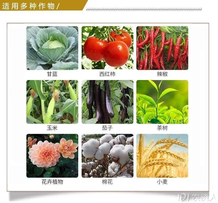 70%啶虫脒15378717347