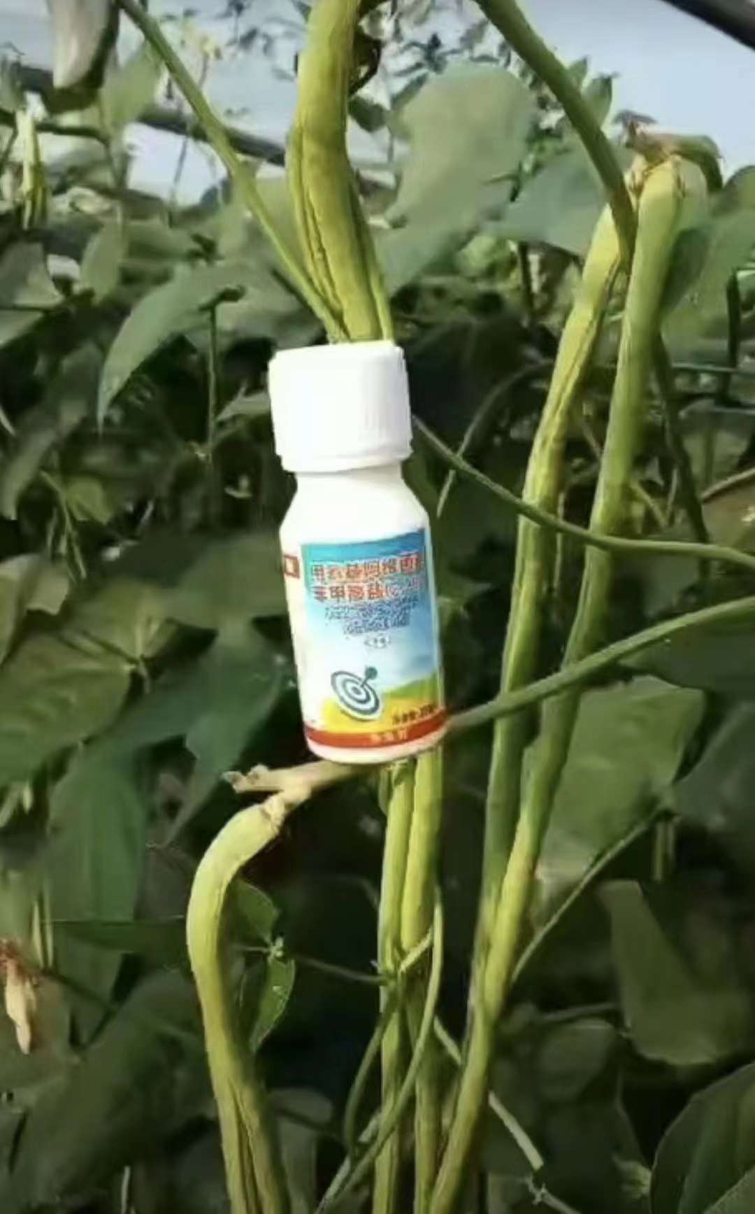 ר15378717347