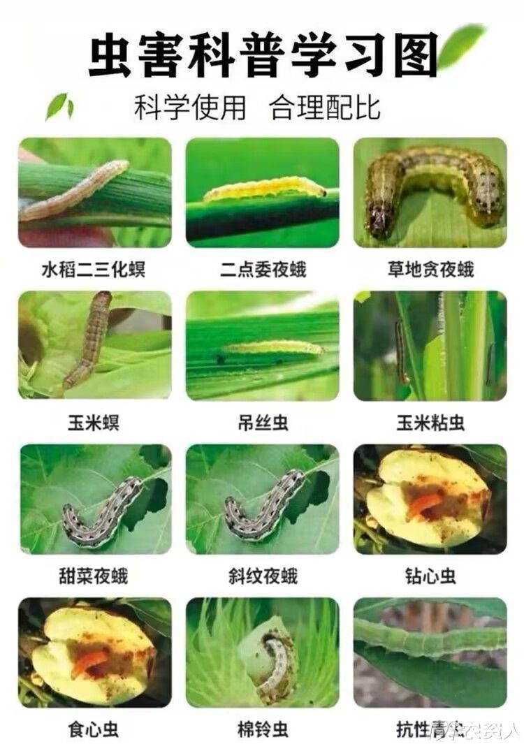 14%阿维虫螨腈15378717347