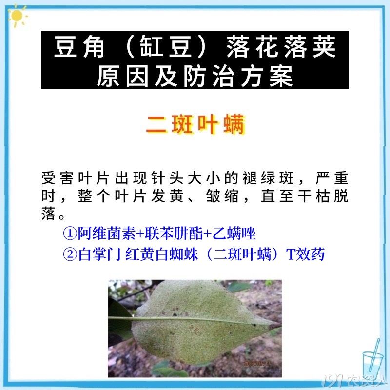 溦15378717347