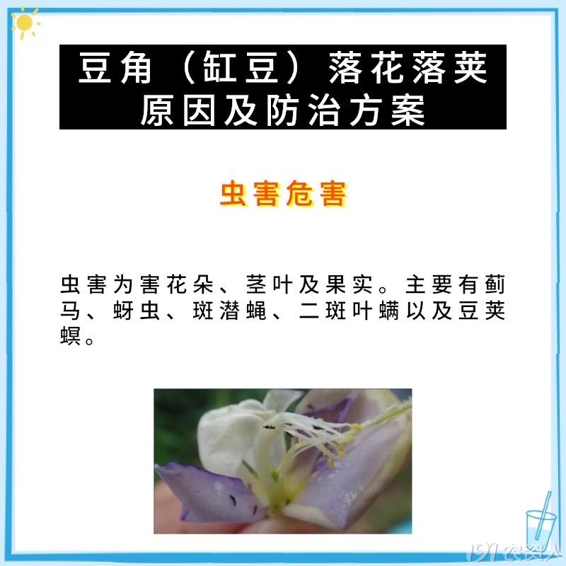 溦15378717347
