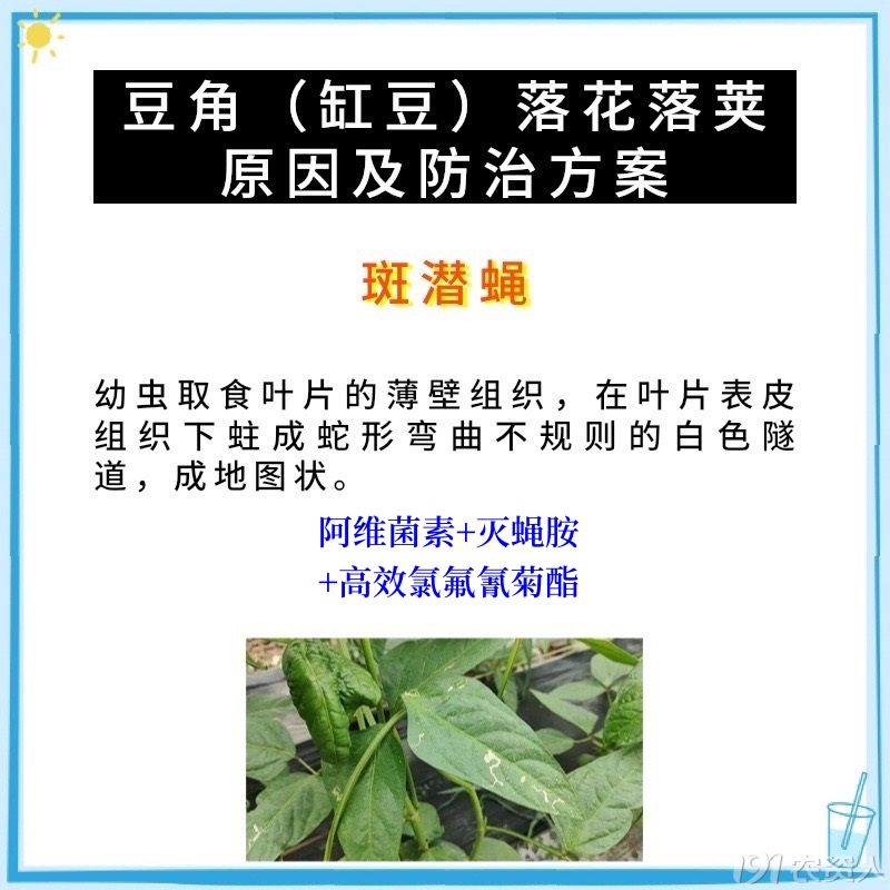 溦15378717347