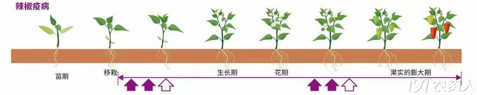 70%烯酰吗啉霜脲氰15378717347