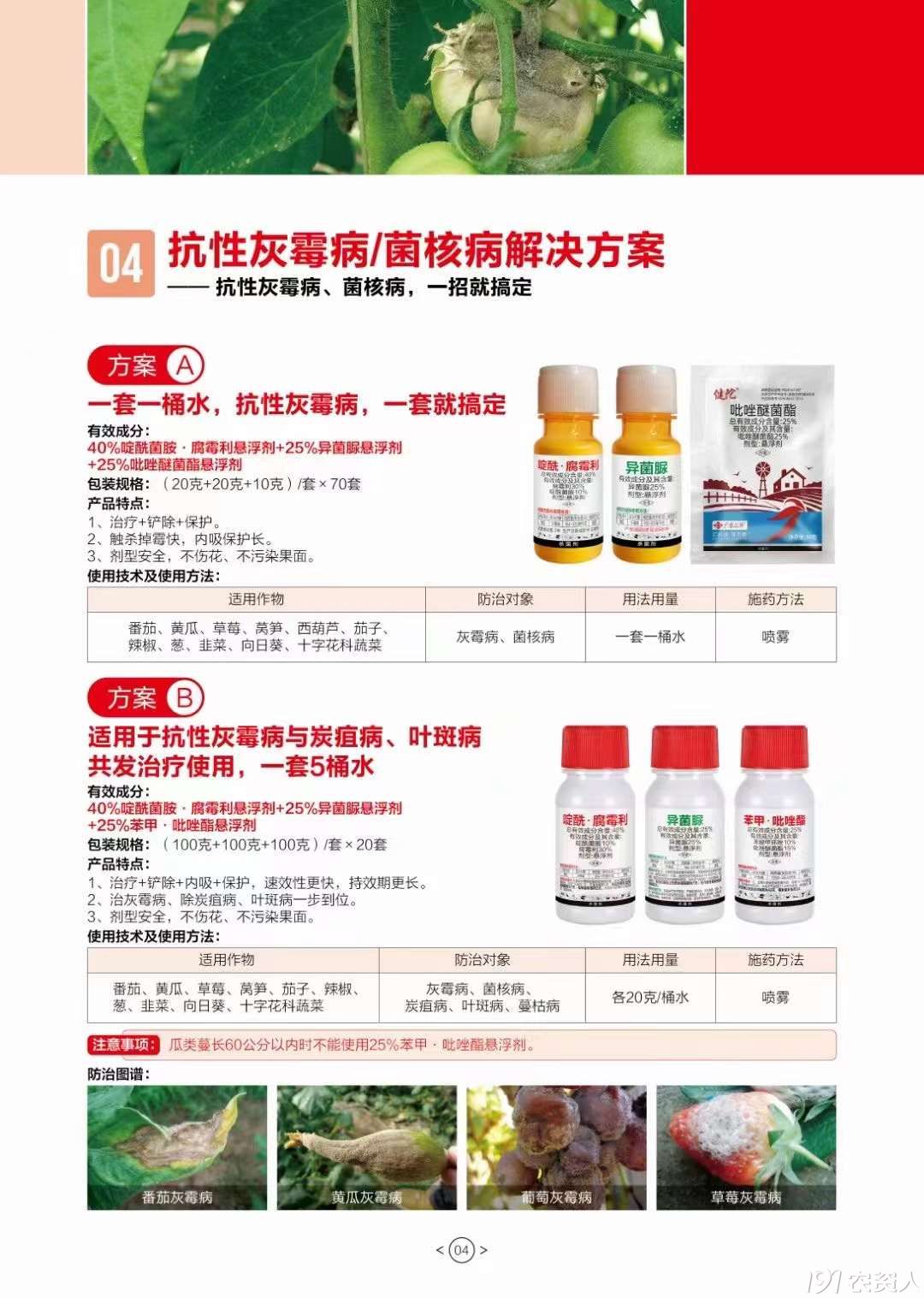 番茄灰霉病防治15378717347