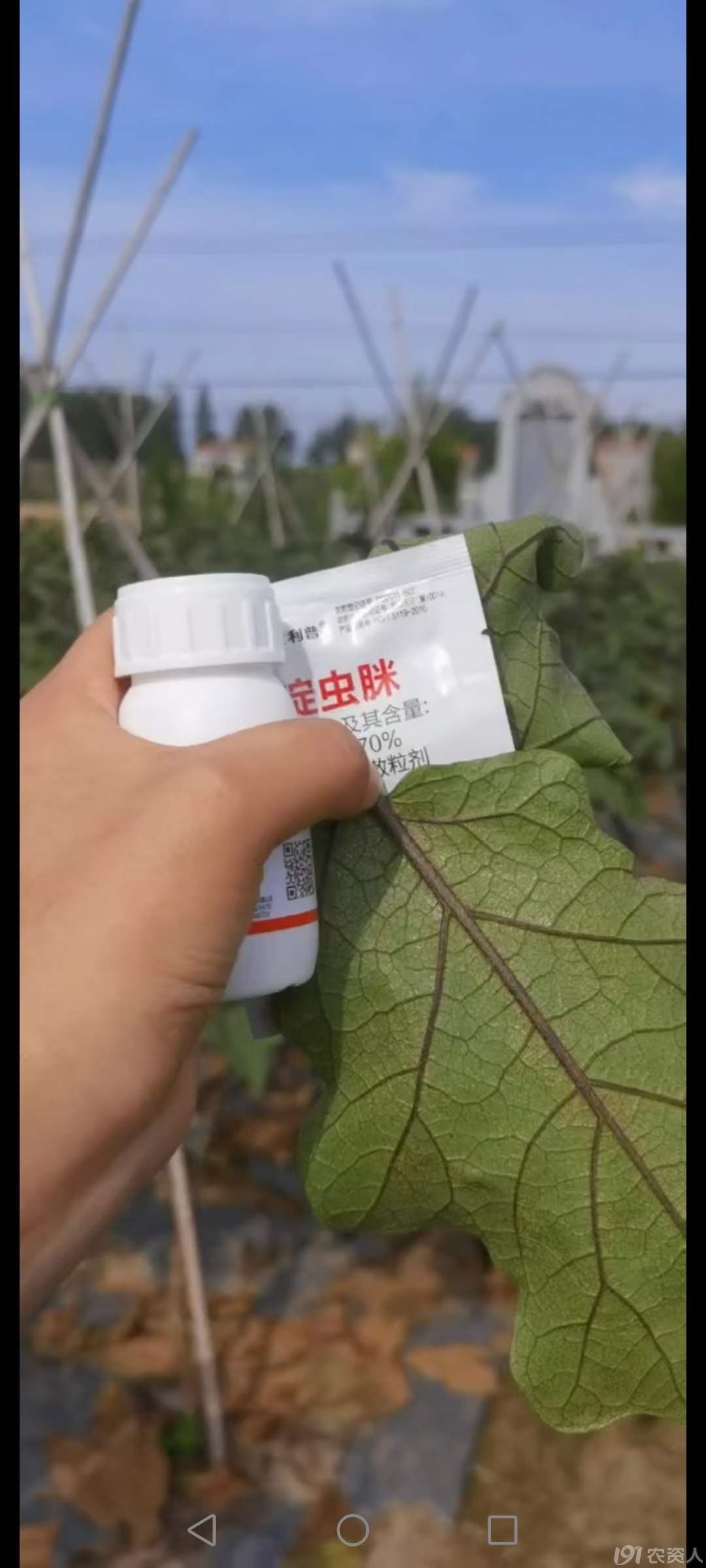 15378717347
