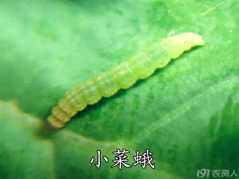 15378717347
