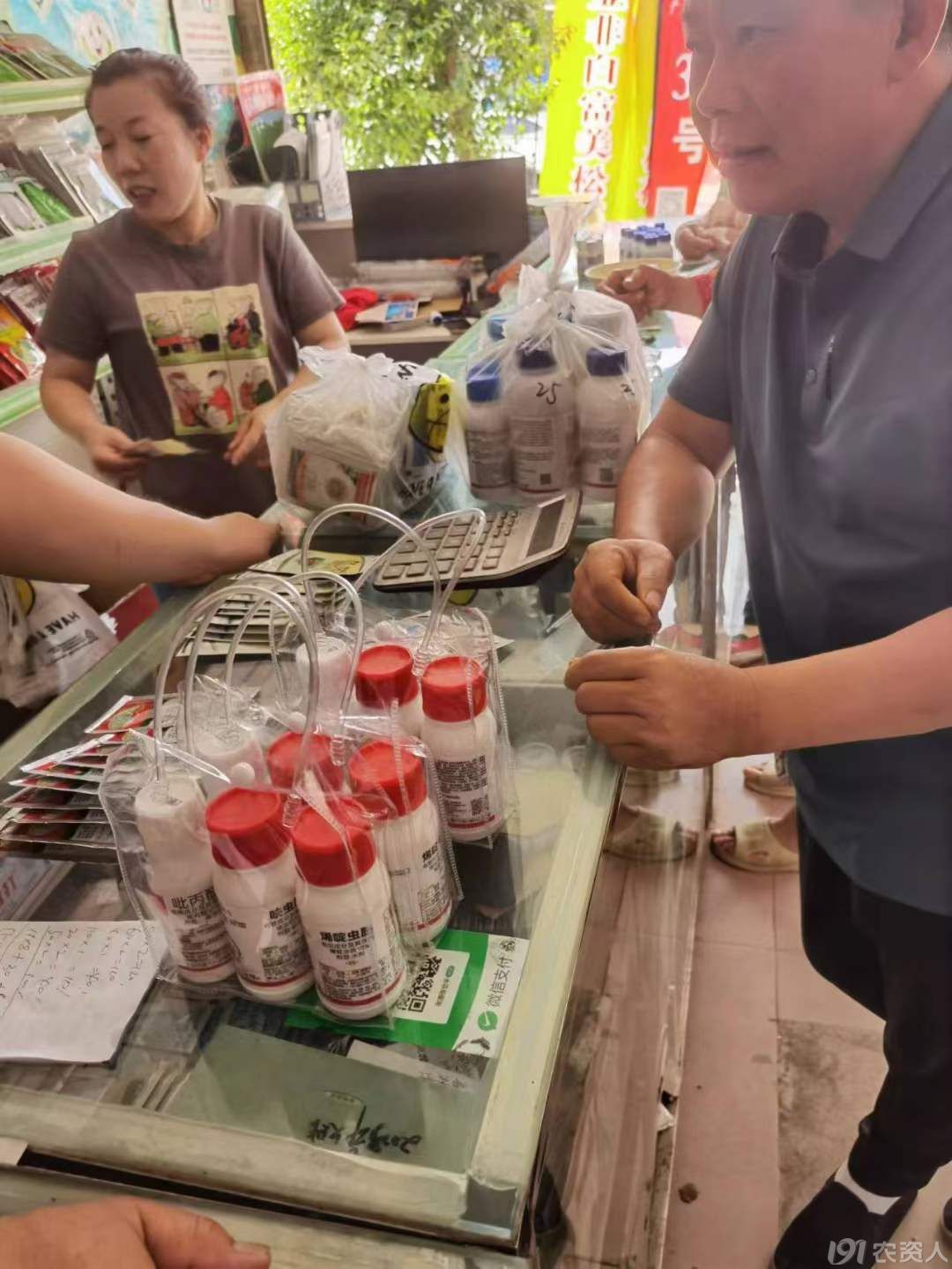 白粉虱防治方案15378717347