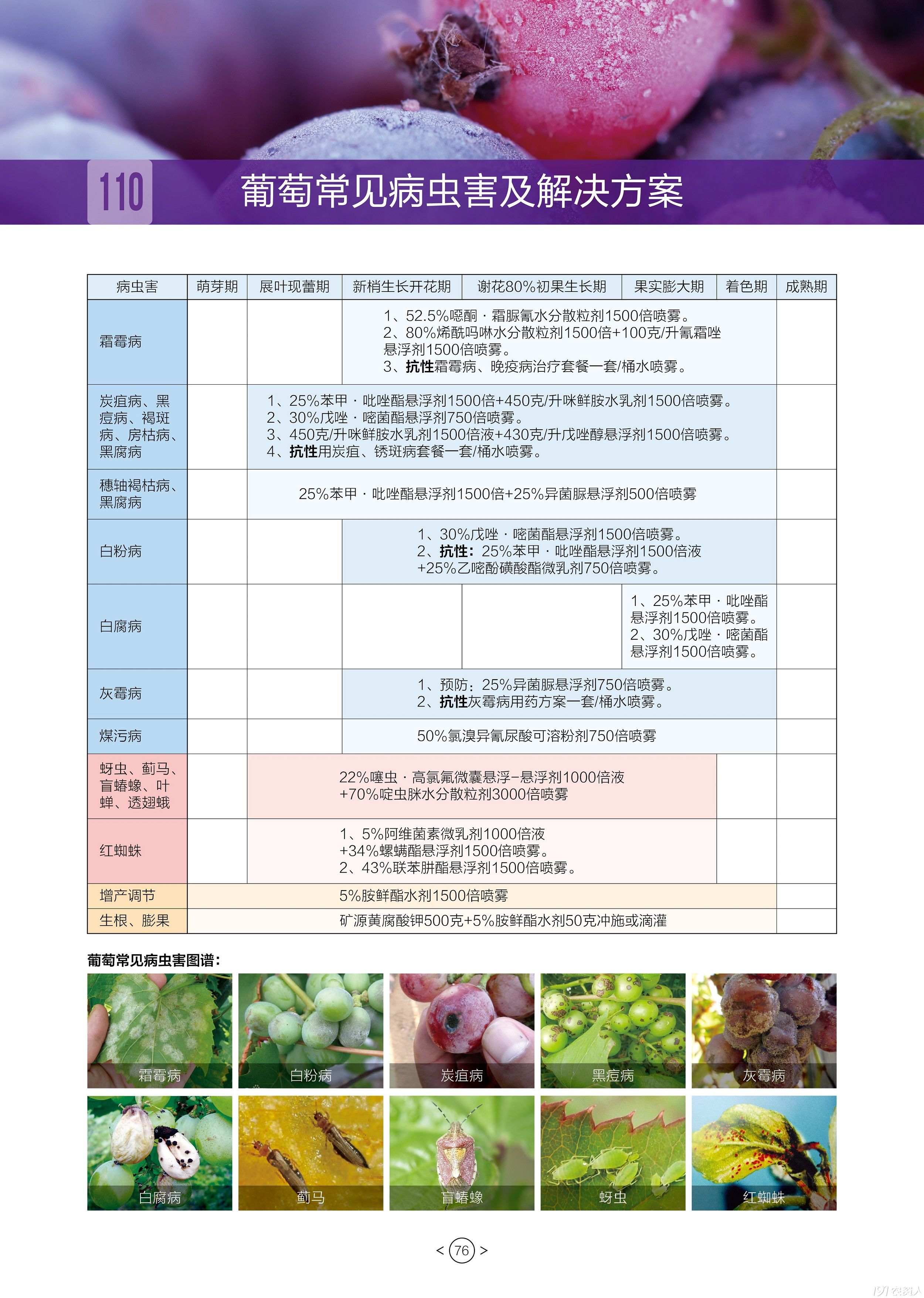 Ѳ溦15378717347