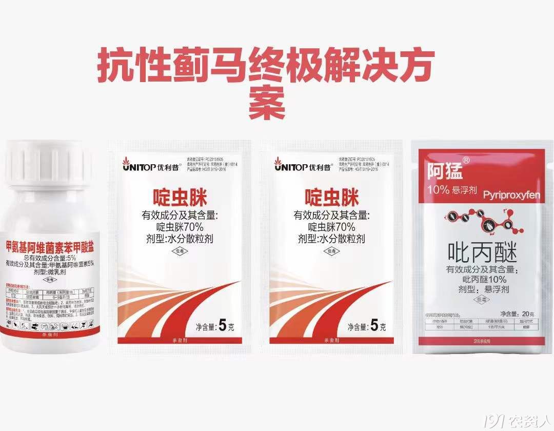 ޻溦15378717347