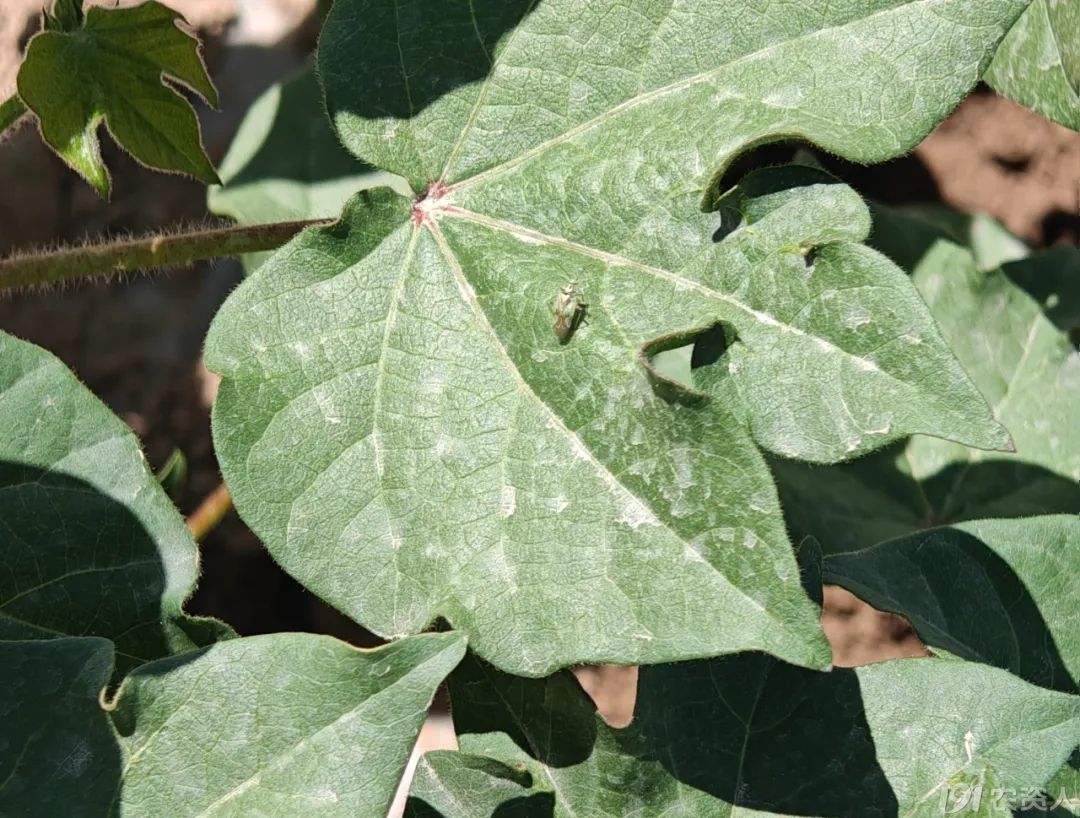 ޻溦15378717347