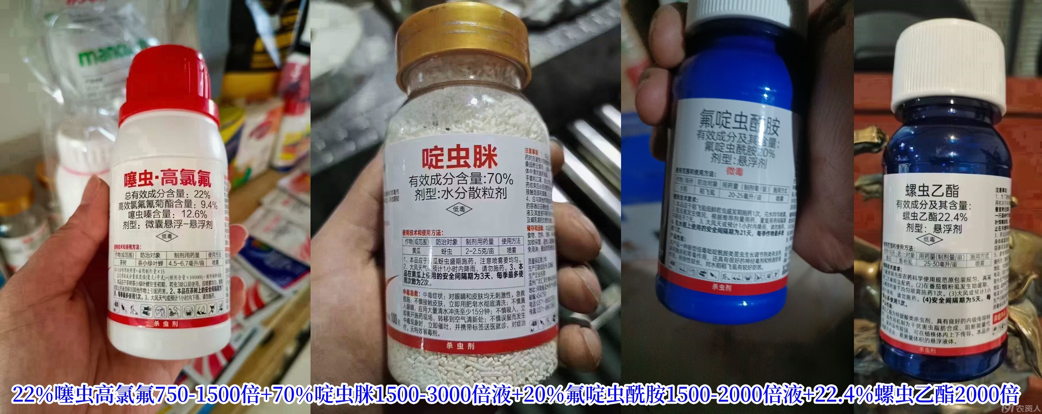޻溦15378717347