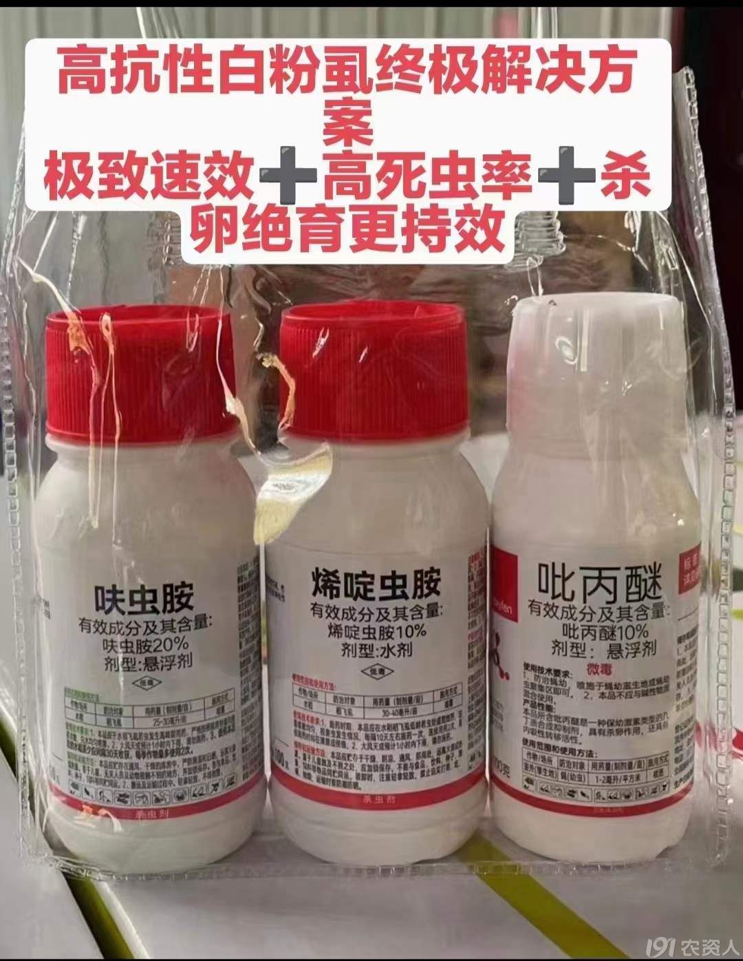 辣椒白粉虱防治15378717347