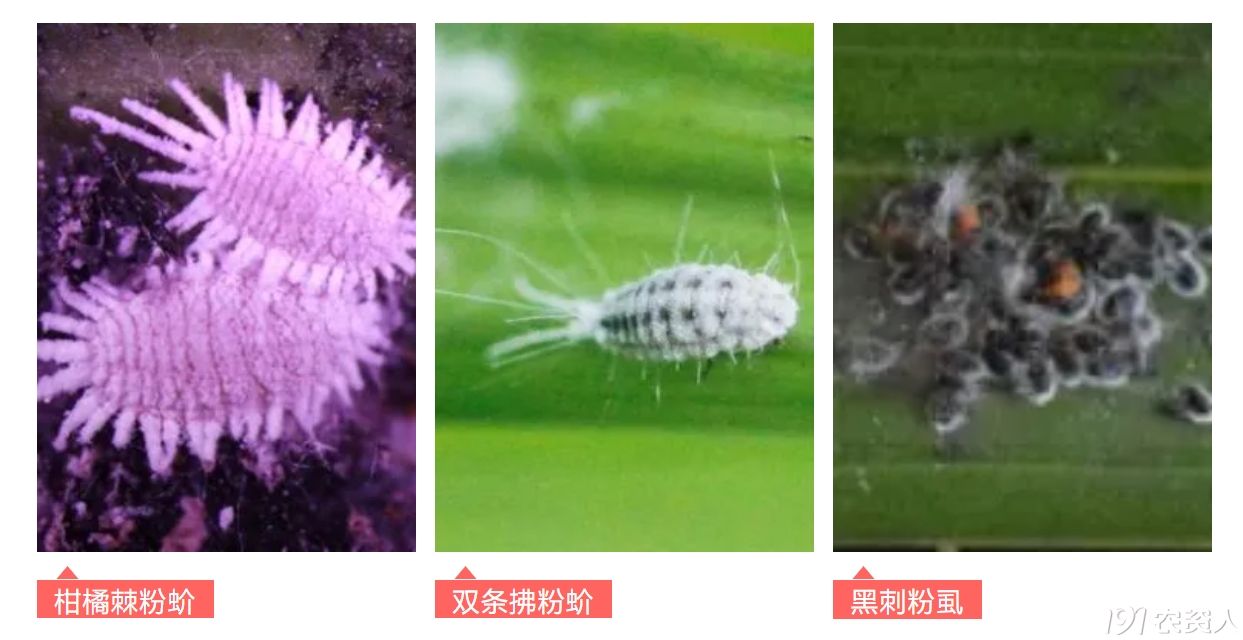 Ʋ溦15378717347