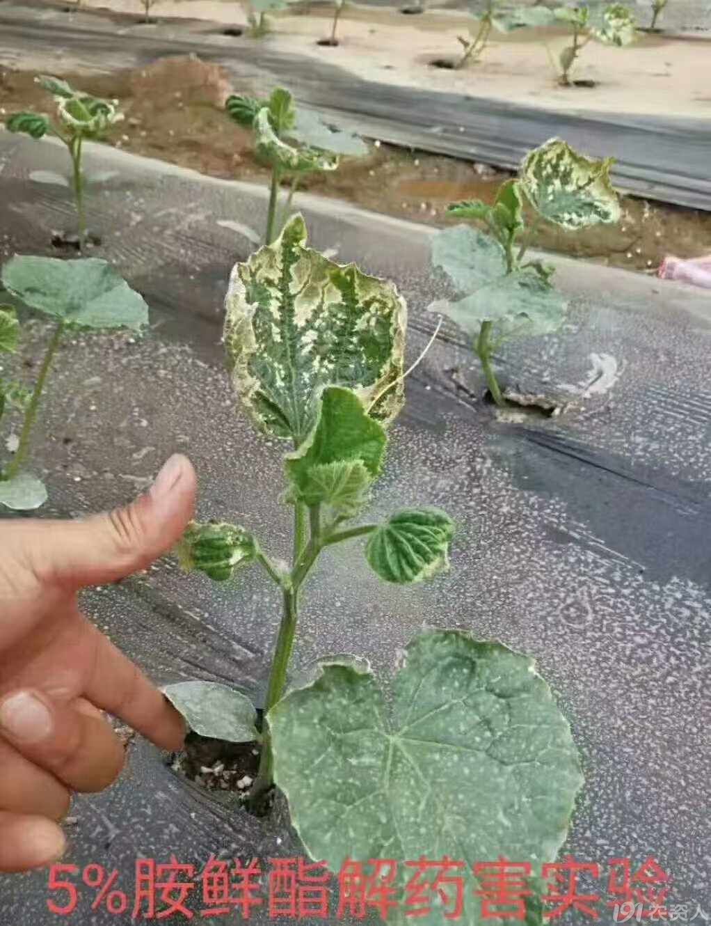 溦15378717347