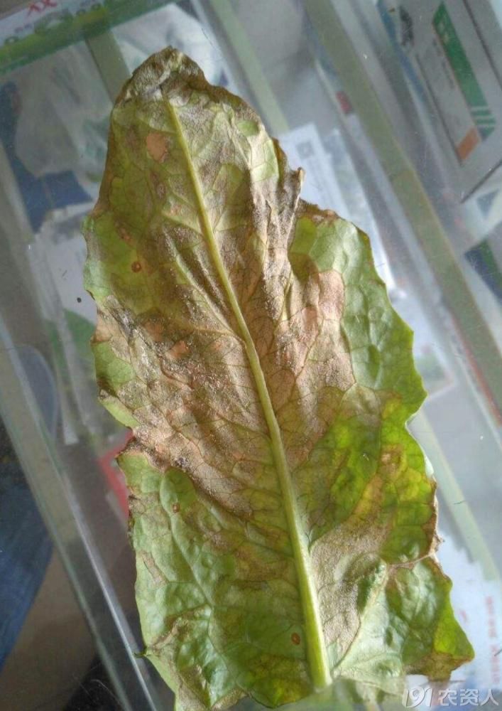 ݫ˪ùη15378717347