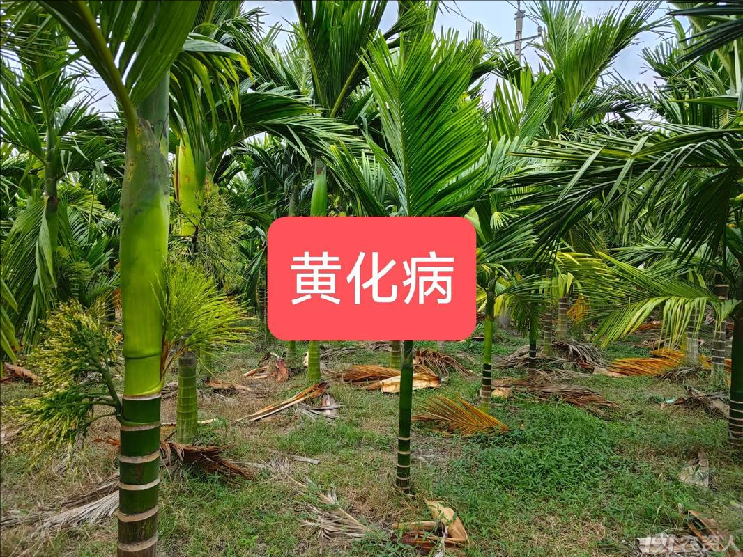 Ʋ溦15378717347