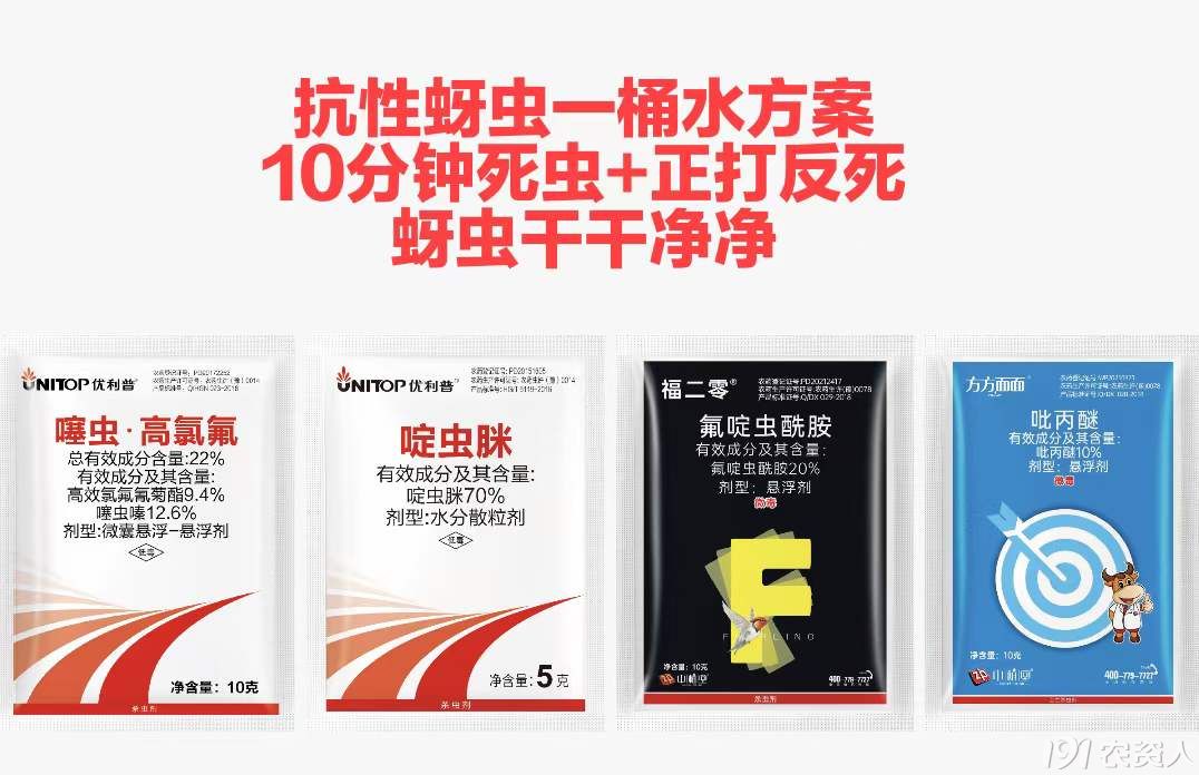 油菜病虫害防治15378717347