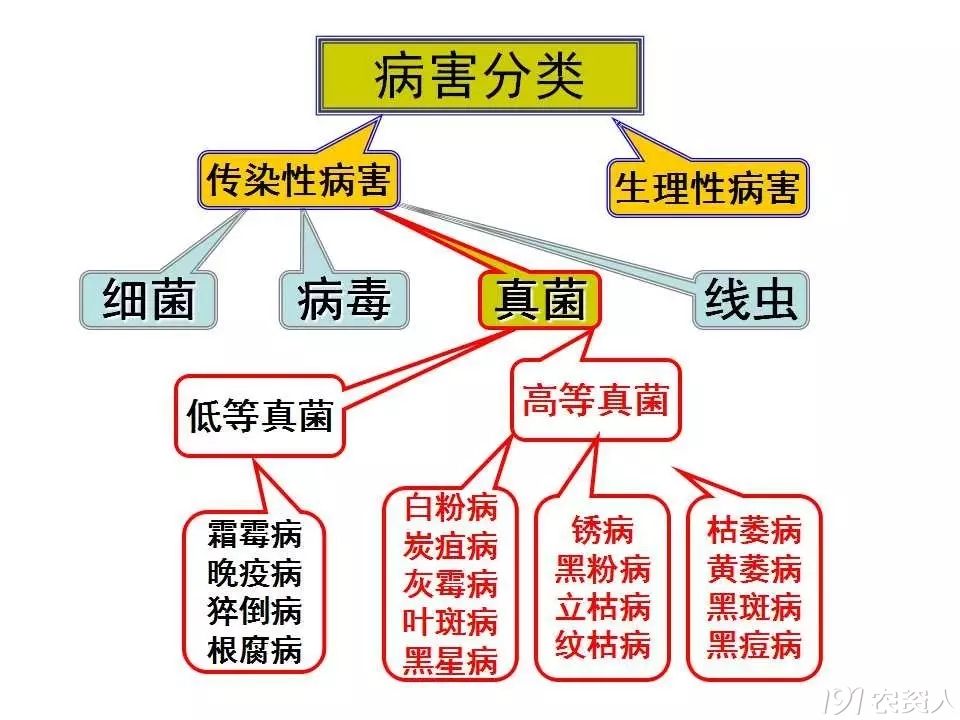 溦15378717347