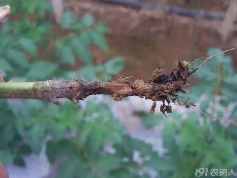 ���Ѹ�����15378717347