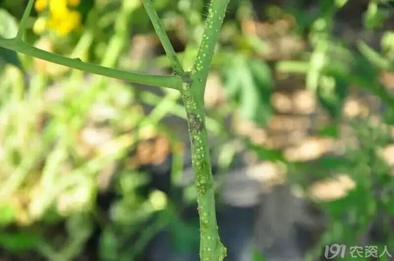 ��������15378717347