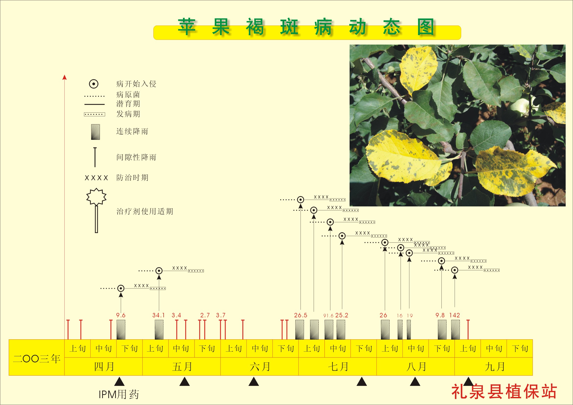 求助苹果树褐斑病和斑点落叶病的防治办法